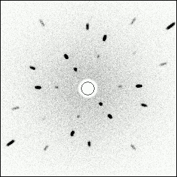 Silicon 110 Axis Collected Laue Image in 256 Mode
